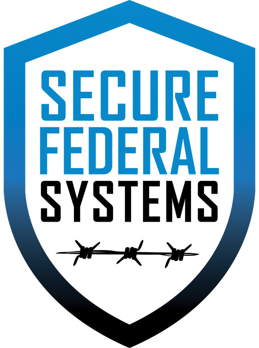 Secure Federal Systems consultant